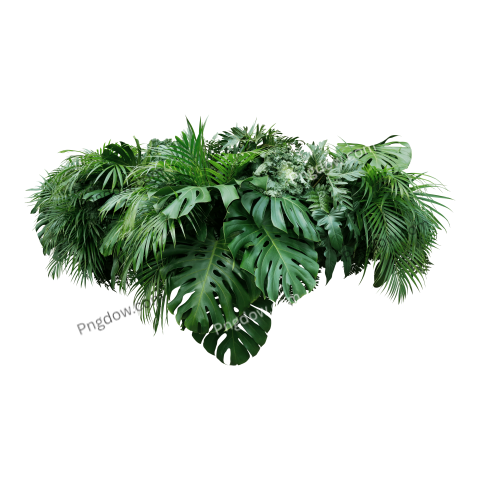 Tropical leaves foliage plants bush floral arrangement