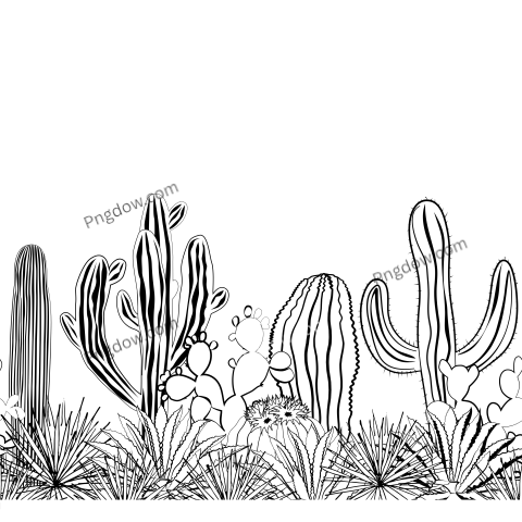 Sketch Cacti Seamless Pattern  Black and White for free
