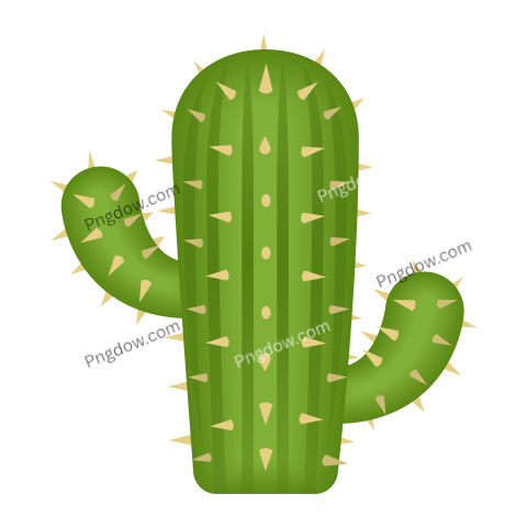 Cactus Png transparent background