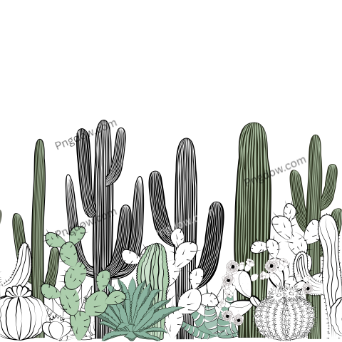 Seamless Pattern with Cactus  Wild Cactus Forest for free