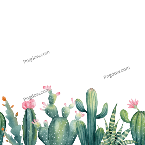 Watercolor cactus and succulent seamless border
