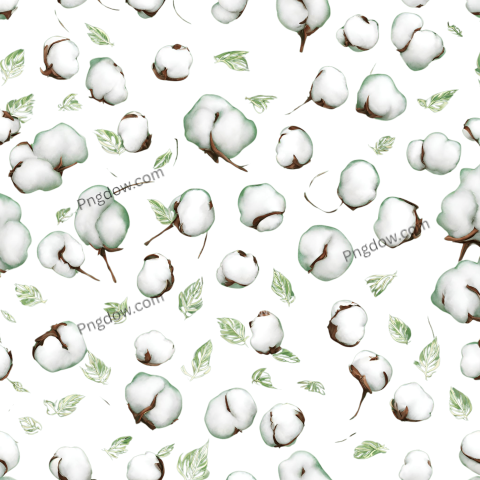 Free Download High Quality Cotton PNG Images for Your Projects (18)