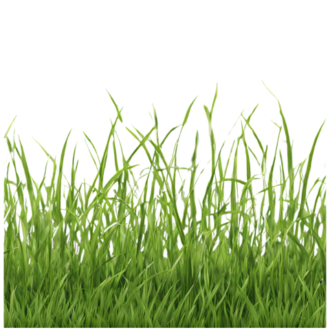 Download Stunning Grass PNG Image with Transparent Background