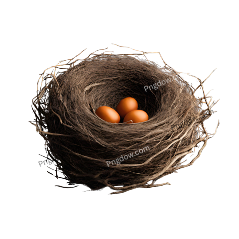 High resolution Nest PNG