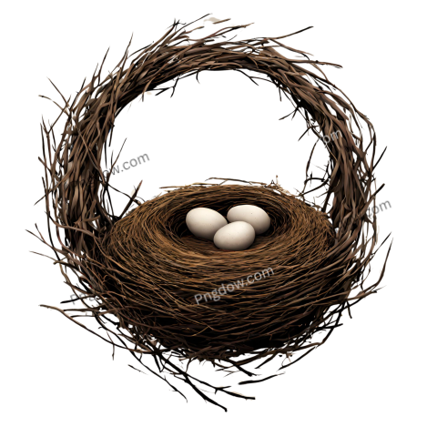 Stunning Nest PNG Image with Transparent Background Downloaded