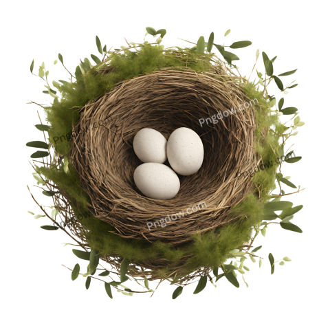 Download Nest PNG transparent images for free