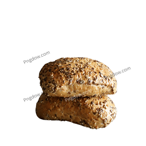 How can I use Bun illustrations in my design projects