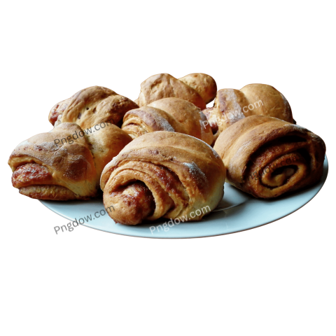Are there any free resources for downloading Bun illustrations in PNG format