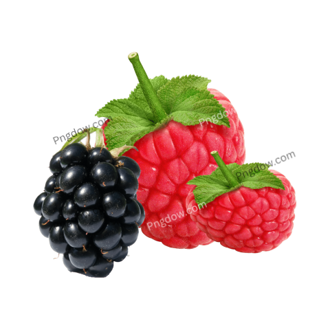 pixel Raspberry Png