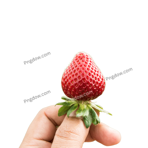 hand held strawberry png