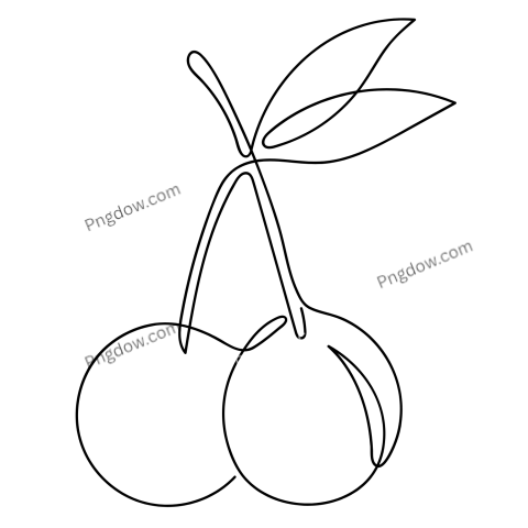 Cherry PNG drawing Images
