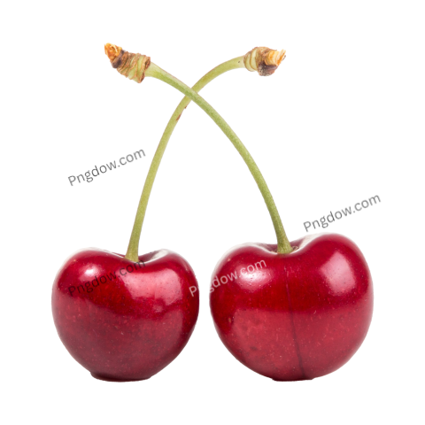 How to create custom Cherry illustrations in PNG format