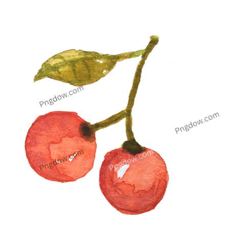 Cherry png transparent background