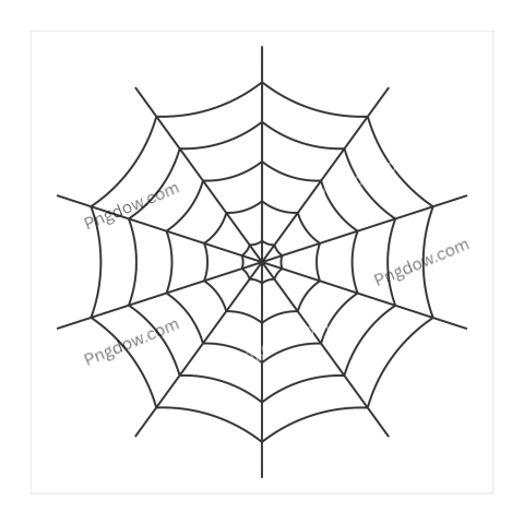 Spider Web Black Png