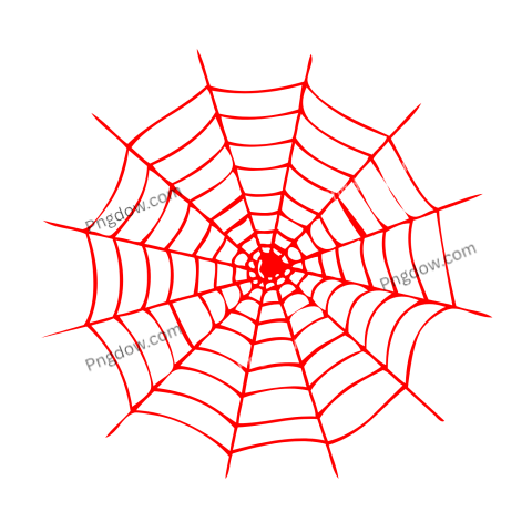 Spider Web Red png