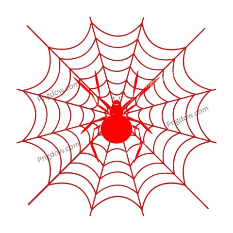 red Spider Web Illustration