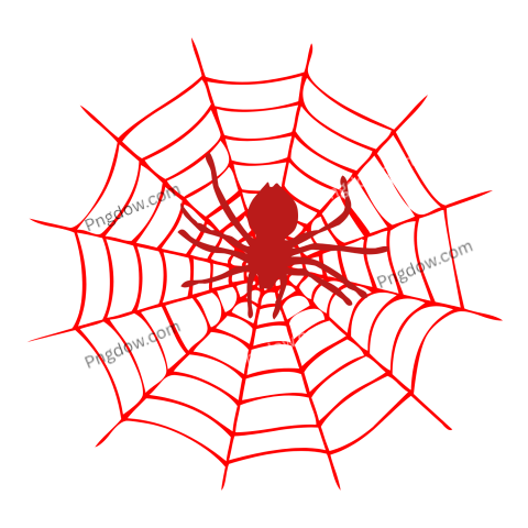 Spider Web Png images Red