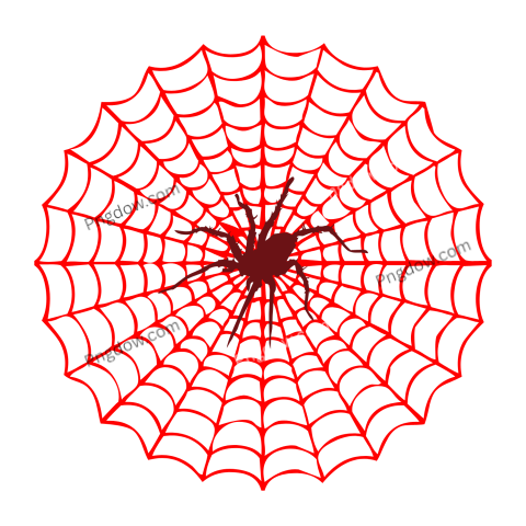 Spider Web Illustration free download