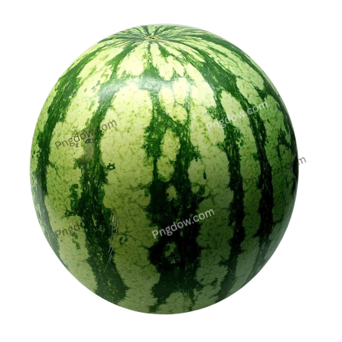 watermelon transparent vector