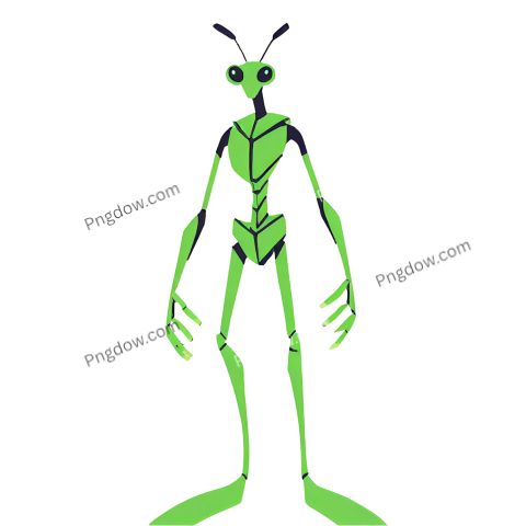 Mantis-png images