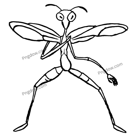 Unveiling the Most Striking Mantis PNG Images for Your Projects