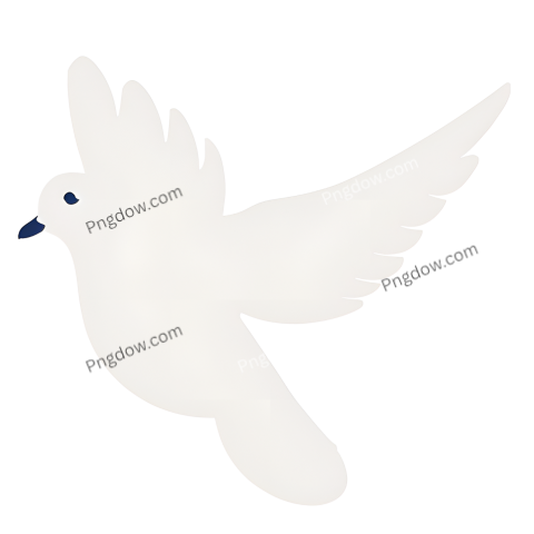 dove transparent png