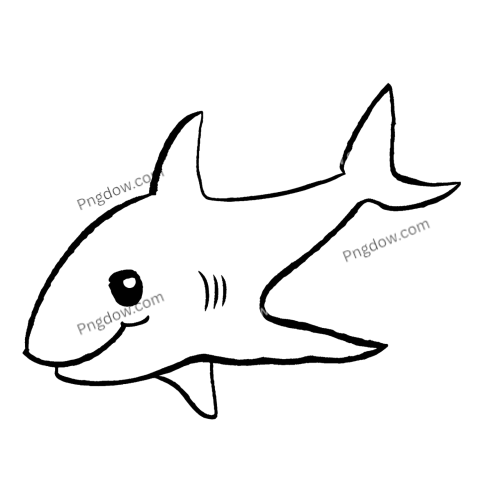 Doodle baby shark png