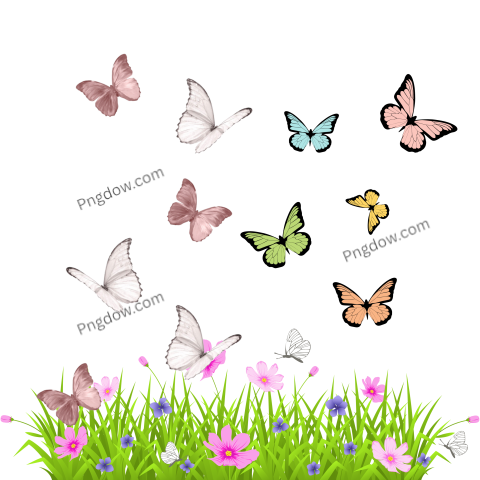 Green Grass with Flowers and Butterflies