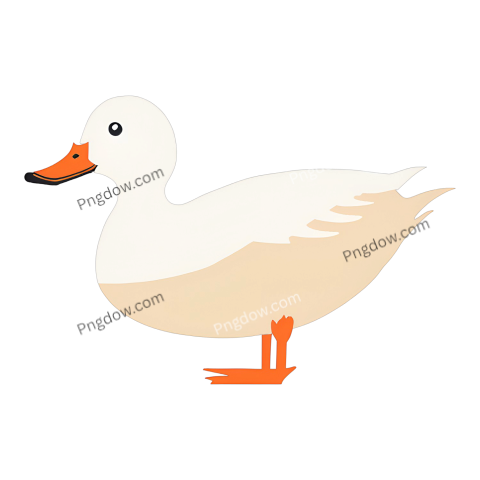 A white duck with an orange beak stands out against a transparent background, showcasing its vibrant colors in a PNG format