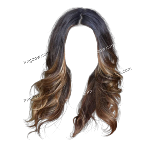 women's hair png