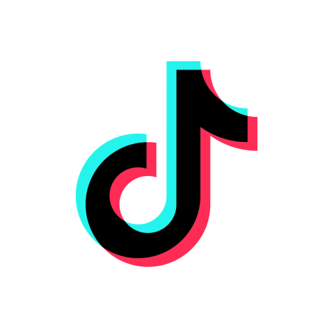 tiktok logo image