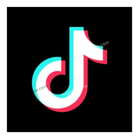 tiktok logo