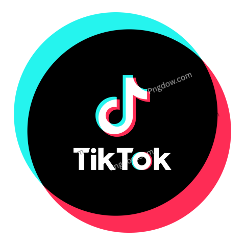 TikTok logo enclosed in a circular design, representing the brand's identity in a modern vector format