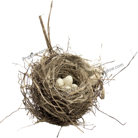 Nest png